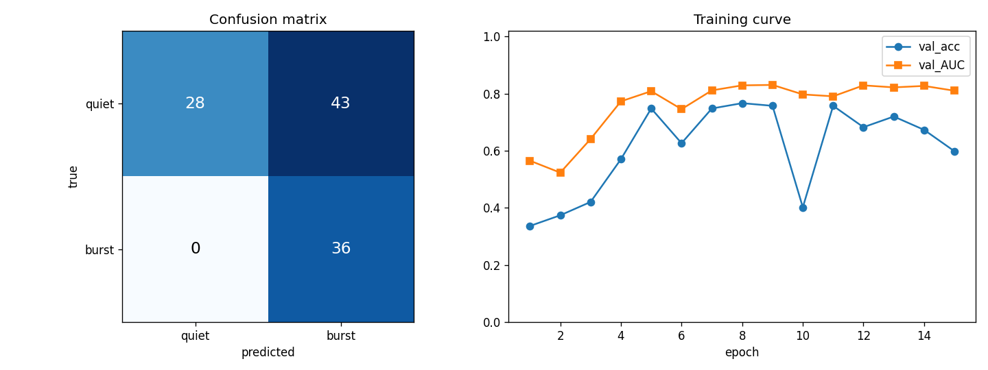 Confusion matrix and training curve